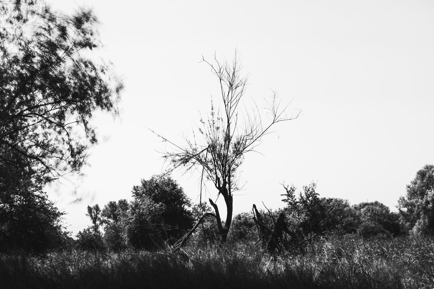 2 Sekunden Wind | Fine Art Print
