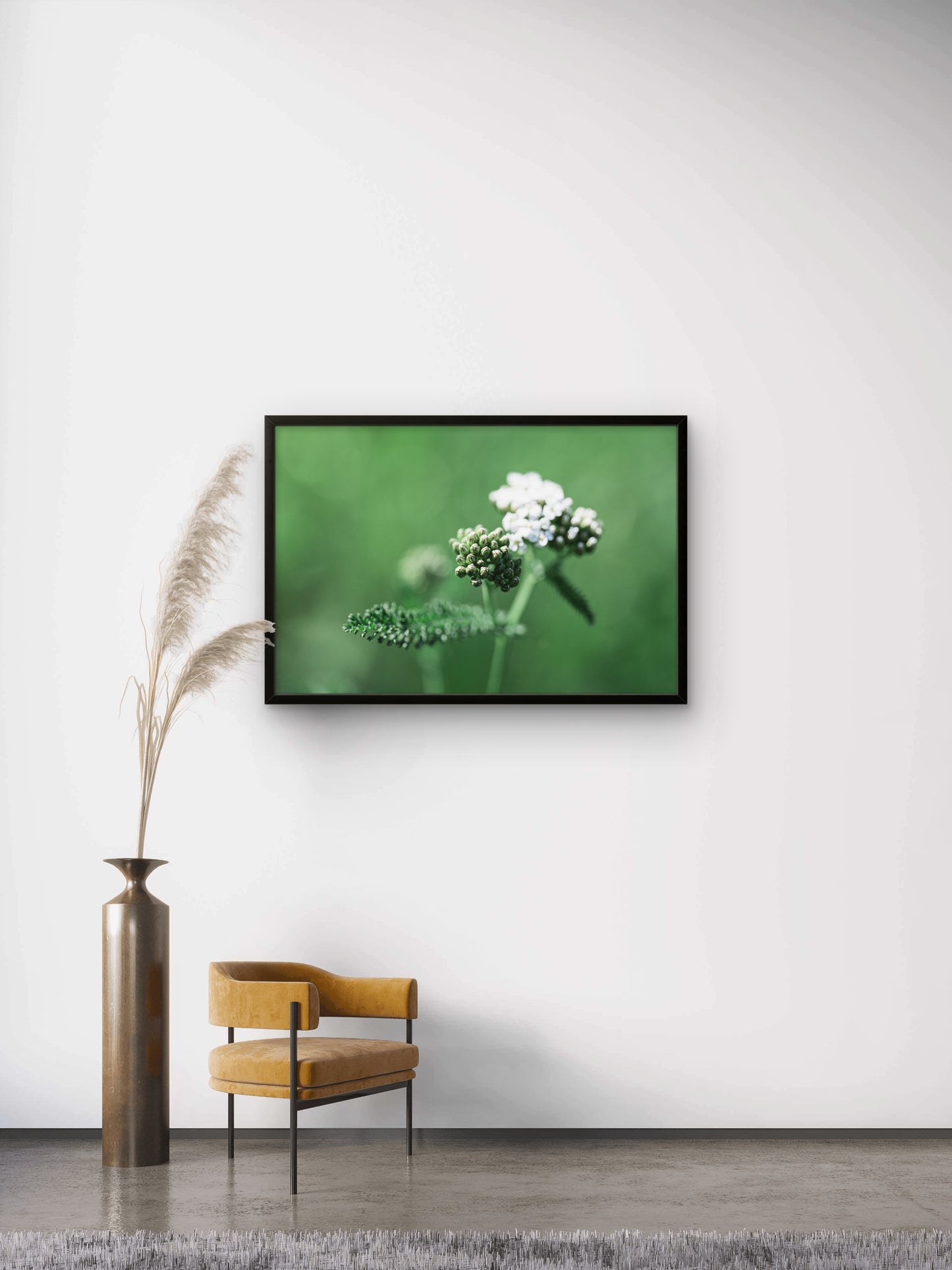 Gewöhnliche Schafgarbe 1 | Fine Art Print