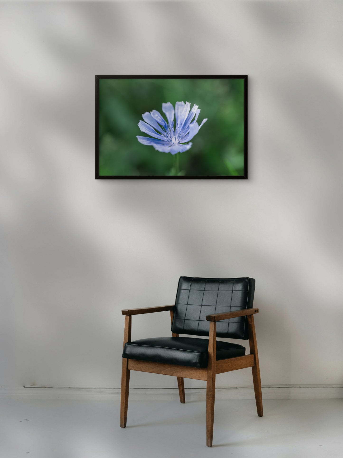 Wegwarte | Fine Art Print