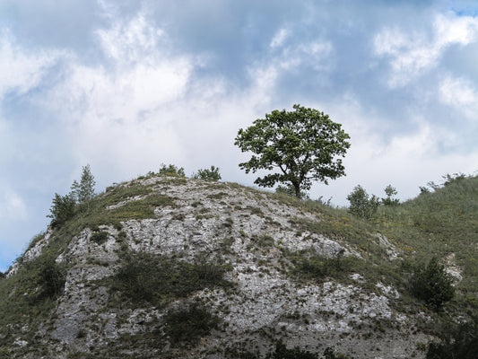 Hang bei der Talsperre Kelbra