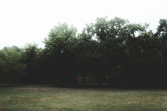 Zwischen Budapest und Kecskemét