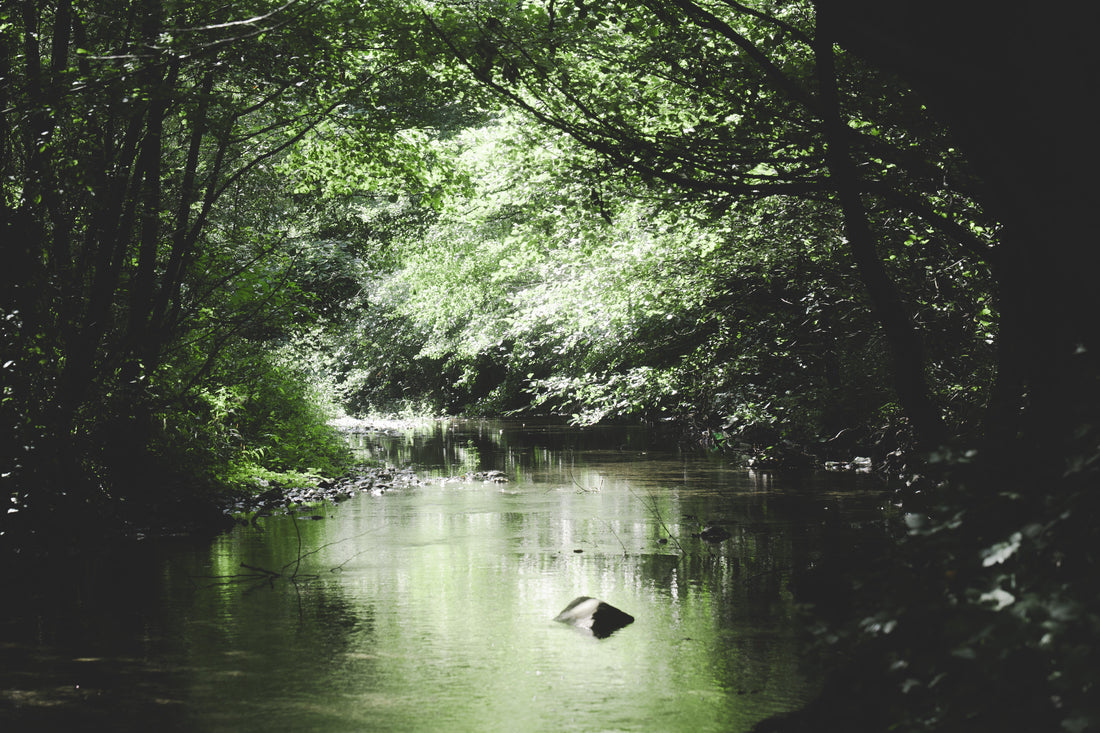 Ein idyllisches rumänisches Bächlein