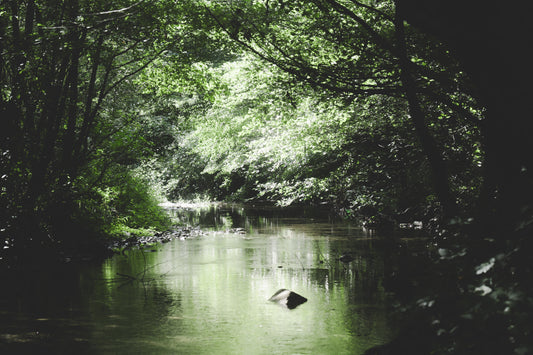 Ein idyllisches rumänisches Bächlein
