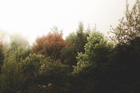 Das war der Beginn des Herbstes