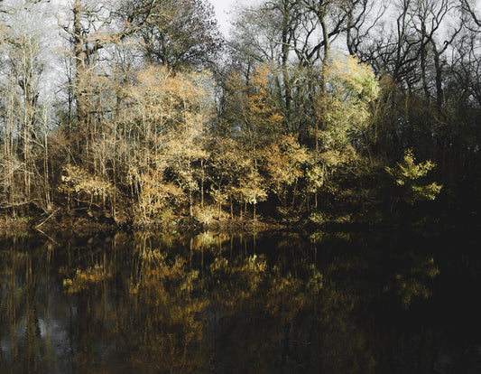 Das Flussufer der Rabeninsel in seiner frühwinterlichen Pracht