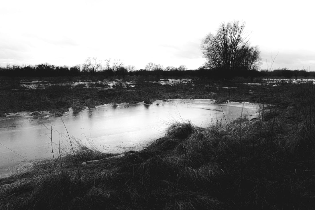 Gefrorene Hochwasserlandschaft in schwarz weiß