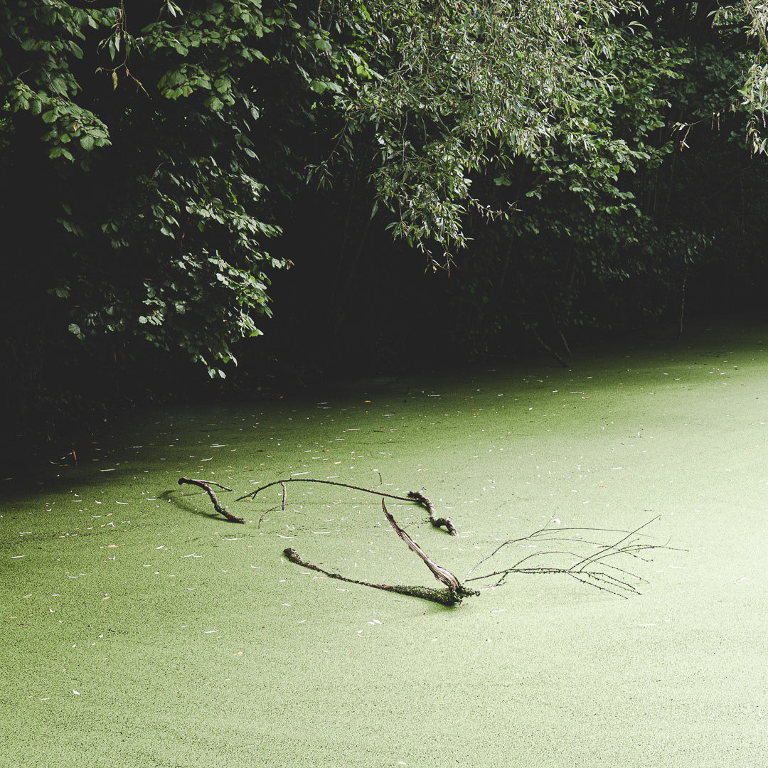 An einem kleinen Teich nahe Prag
