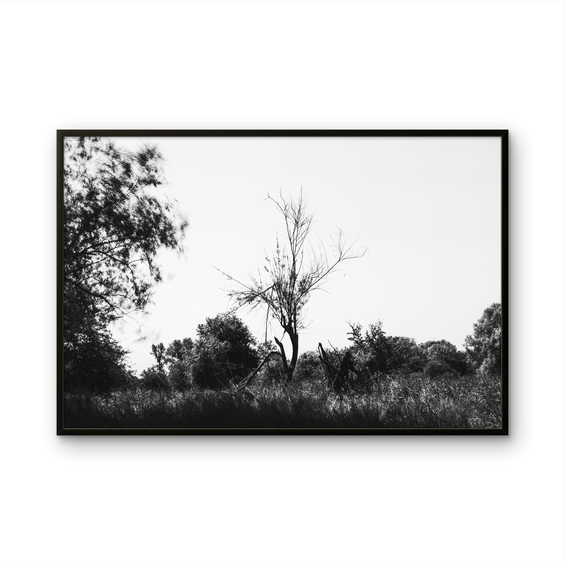Ein Beispielbild von dem Bild 2 Sekunden Wind in der Ansicht in einem schwarzen Rahmen.