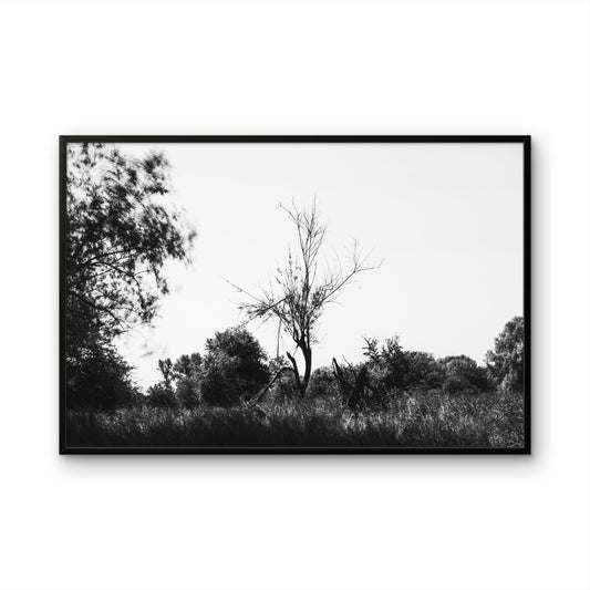 Ein Beispielbild von dem Bild 2 Sekunden Wind in der Ansicht in einem schwarzen Rahmen.