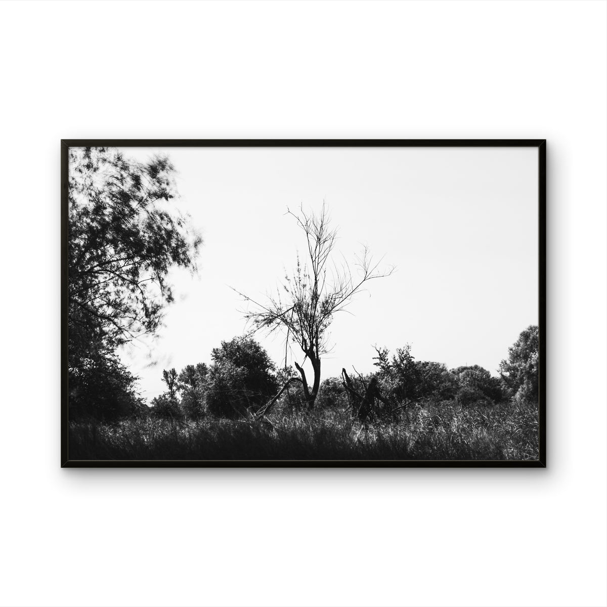 Mattes Poster 2 Sekunden Wind von Bachblatt – Gerahmte Schwarz-Weiß-Landschaft mit einem kahlen Baum.
