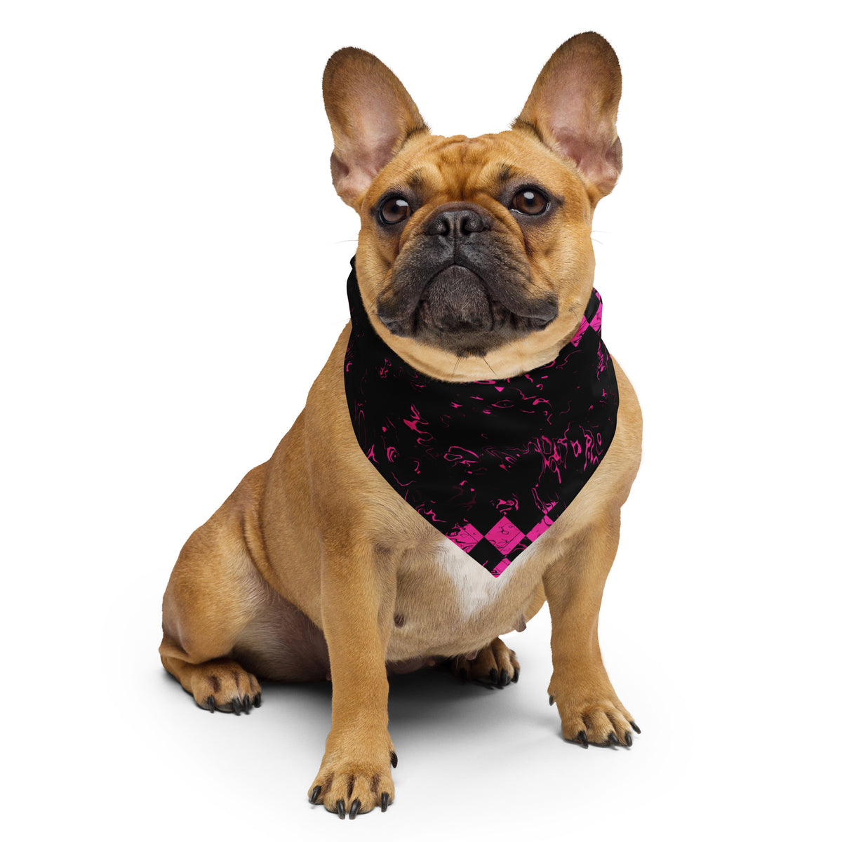 Bandana Abstract Squares von Bachblatt mit magentafarbenem Muster auf Schwarz – Als Halstuch an einem Hund getragen.