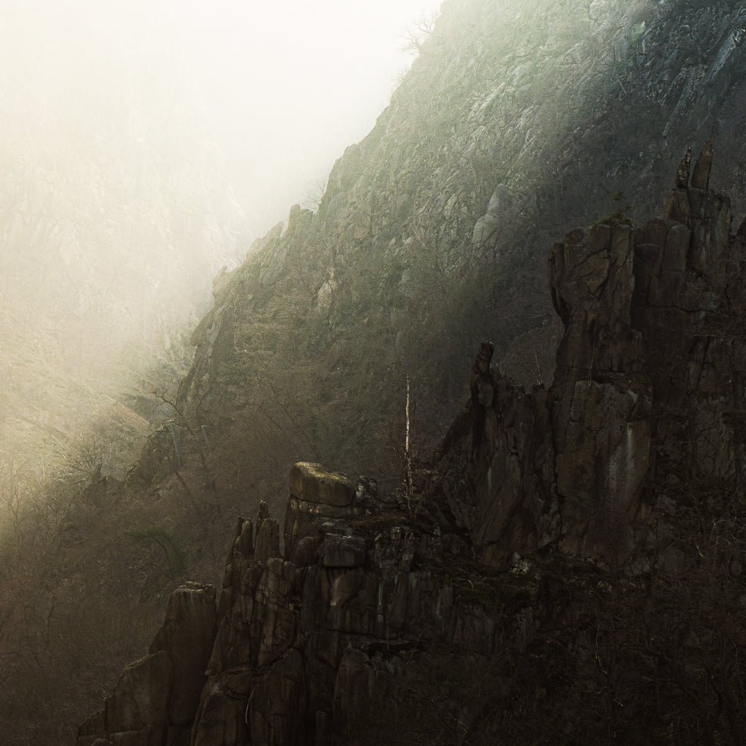 Mattes Poster Bodetal von Bachblatt – Motivdetail der Felsen und Bäume im Gegenlicht.