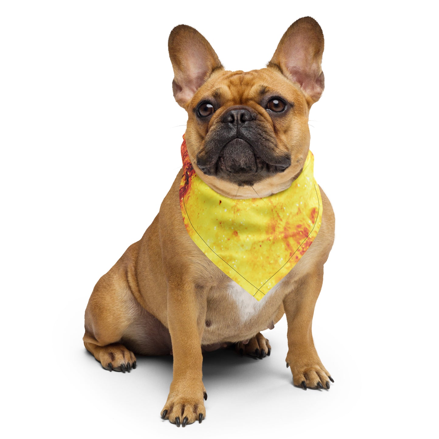 Fiery Waves | Bandana