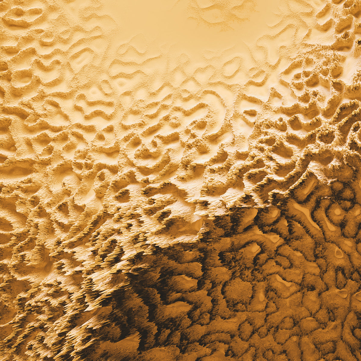 Die Transformation einer Kugel